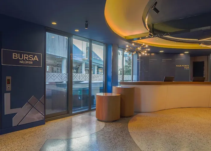 Hotel Four Points Flex By Sheraton Niluefer 3*