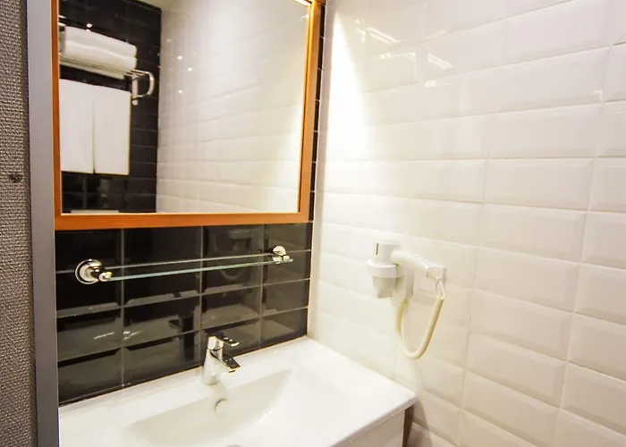 Four Points Flex By Sheraton Niluefer 3* Bursa